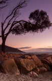 Coles Bay at dusk