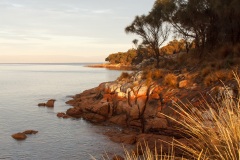 Coles Bay at dawn