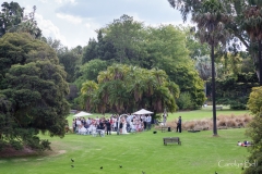 Wedding in the botanic gardens