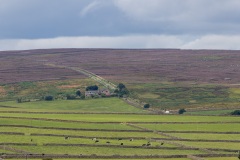 1_Yorkshire-Dales-5-of-40