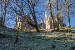 Kilbryde-Castle-snowdrops_IMG_2823_