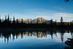 Pyramid mountain with a foreground of lodgepole pines reflected in Beauvert Lake