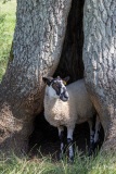 july-blog-cotswolds_2_IMG_8055