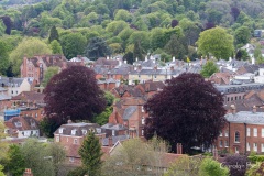 Winchester_031_IMG_7083