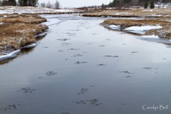 River ice.