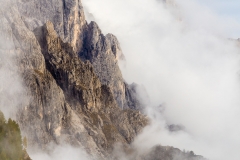 Mountain detail, Passo Rolle