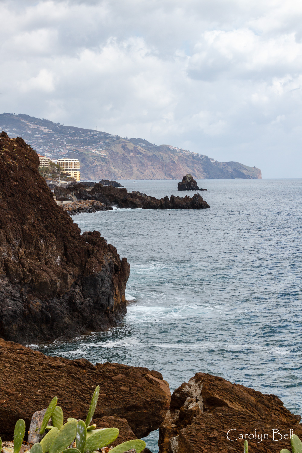 The coast below Funchal