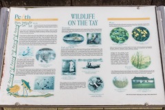 Tay Wildlife Information Plaque, Tay Street
