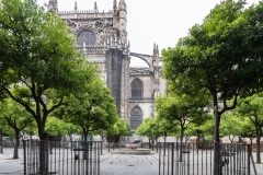 Seville cathedral and the orange tree courtyard